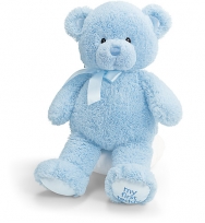 Baby Gund 15吋 "My 1st Teddy" 藍色經典泰迪熊 
